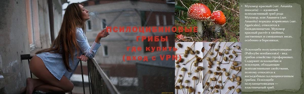 MDMA Бородино