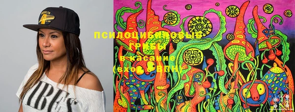 MDMA Бородино