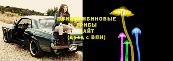 стафф Бугульма