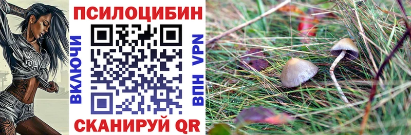 закладка  даркнет какой сайт  Псилоцибиновые грибы прущие грибы  Вилюйск 